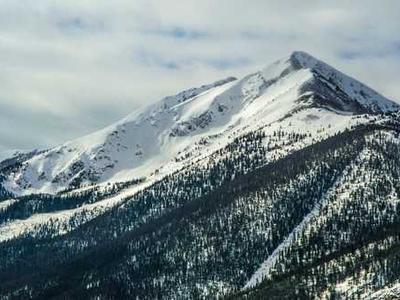The Faith of Beasts by James S. A. Corey
