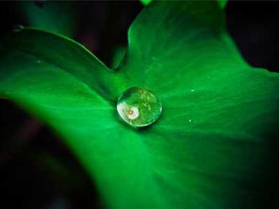 Thinking about a heat pump? 5 reasons it may finally be worth the investment in 2026