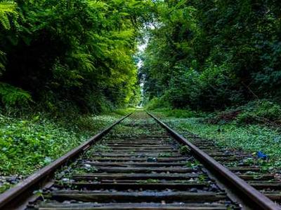 Why Ancestry Is the Best At-Home DNA Testing Kit in 2025